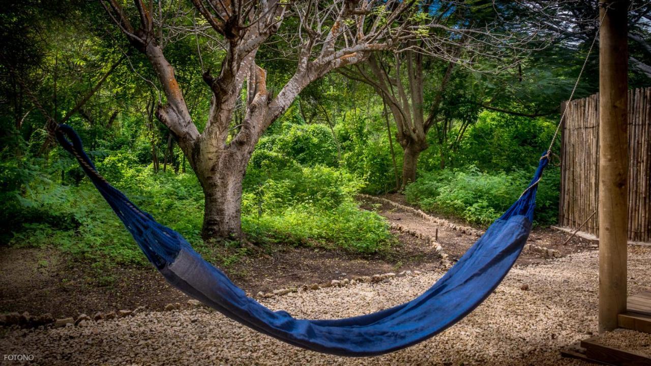 Cayuco Camping Baru Hotel Santa Ana  Ngoại thất bức ảnh