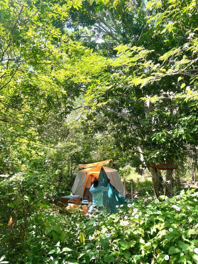 Cayuco Camping Baru Hotel Santa Ana  Ngoại thất bức ảnh